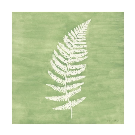 Vanna Lam 'Forest Ferns III' Canvas Art, 14x14